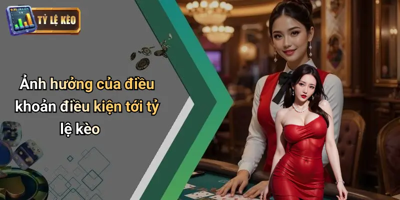 Điều Khoản Điều Kiện