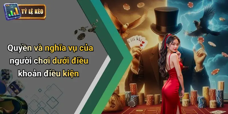 Điều Khoản Điều Kiện