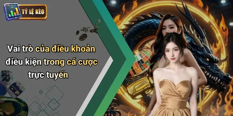 Điều Khoản Điều Kiện