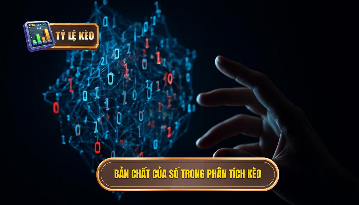 Bản chất của các con số trong phân tích tỷ lệ kèo