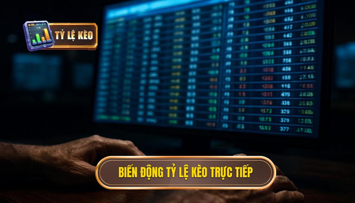 Cơ chế biến động của tỷ lệ kèo trực tiếp trên thị trường