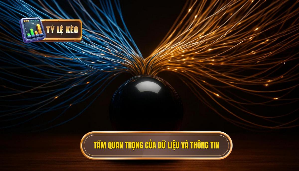 Tầm quan trọng của dữ liệu thống kê và thông tin chuyên sâu