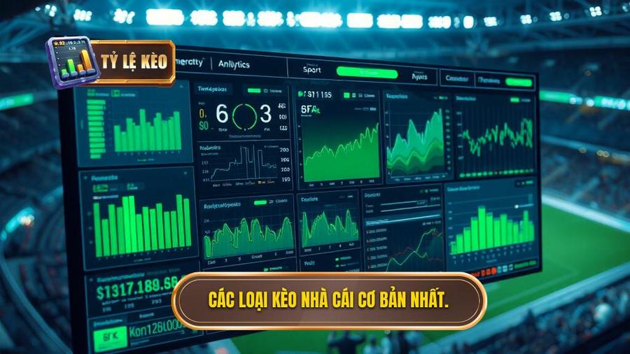 Các loại kèo cơ bản trong Bảng kèo nhà cái chính thức