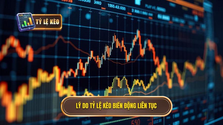 2. Lý do tỷ lệ kèo biến động liên tục